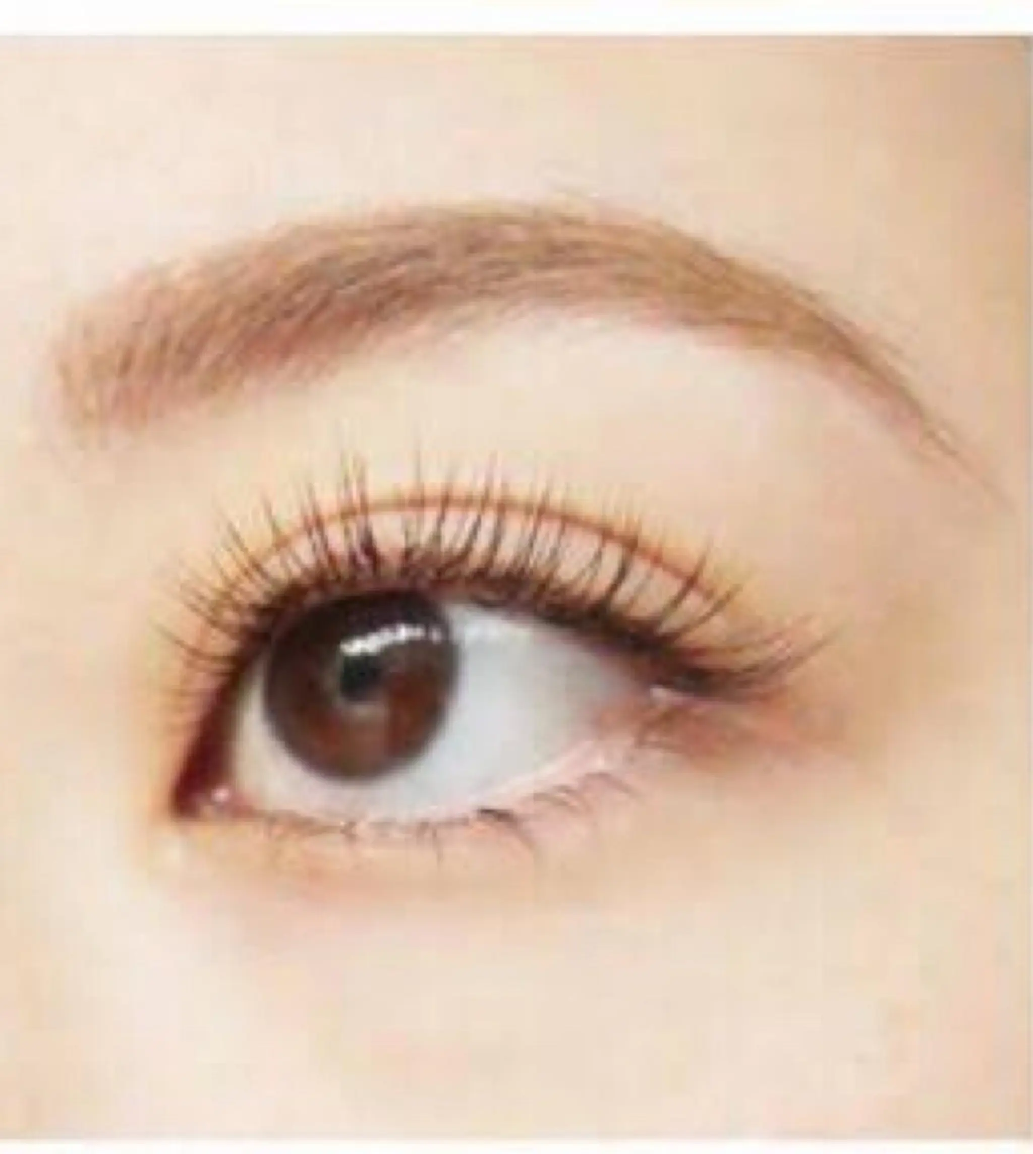 マツエク・マツパ マツエク 💕丸島 夏名🐰🍀のマツエク・マツパデザイン