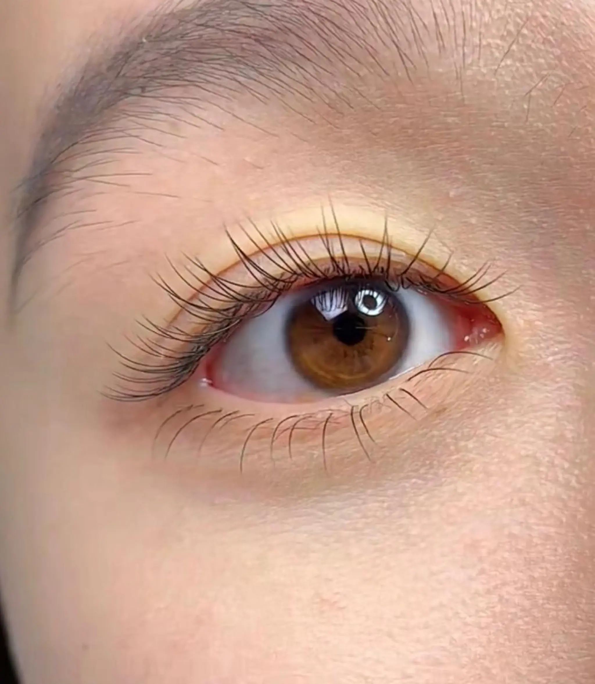 マツエク・マツパ Arana池袋 Ayumi🦋のマツエク・マツパデザイン