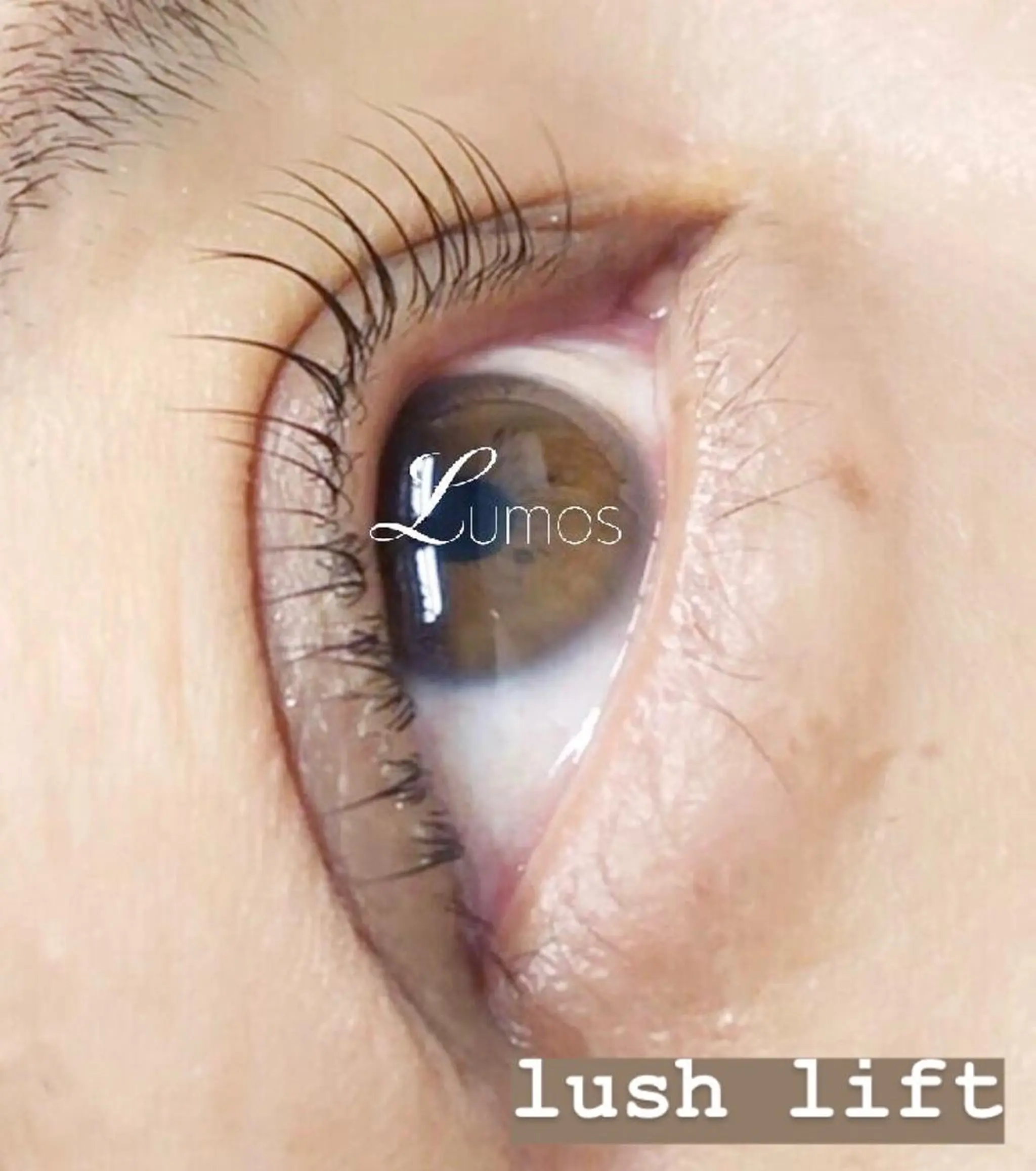 マツエク・マツパ マツパ Lumos nail&eyelash所属・Lumos Ayakaのマツエク・マツパデザイン