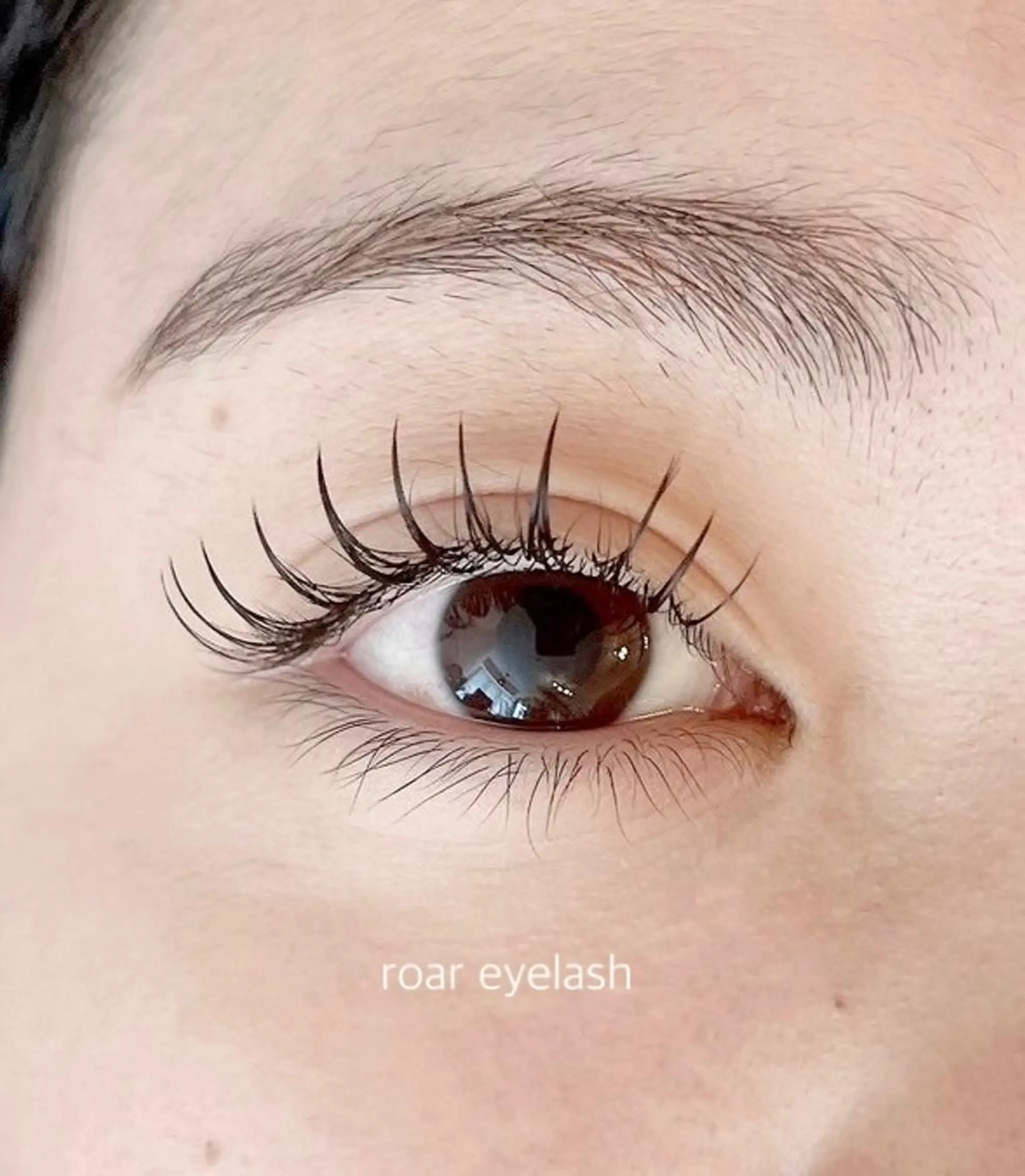 マツエク・マツパ ROAR🌹 eyelashのマツエク・マツパデザイン