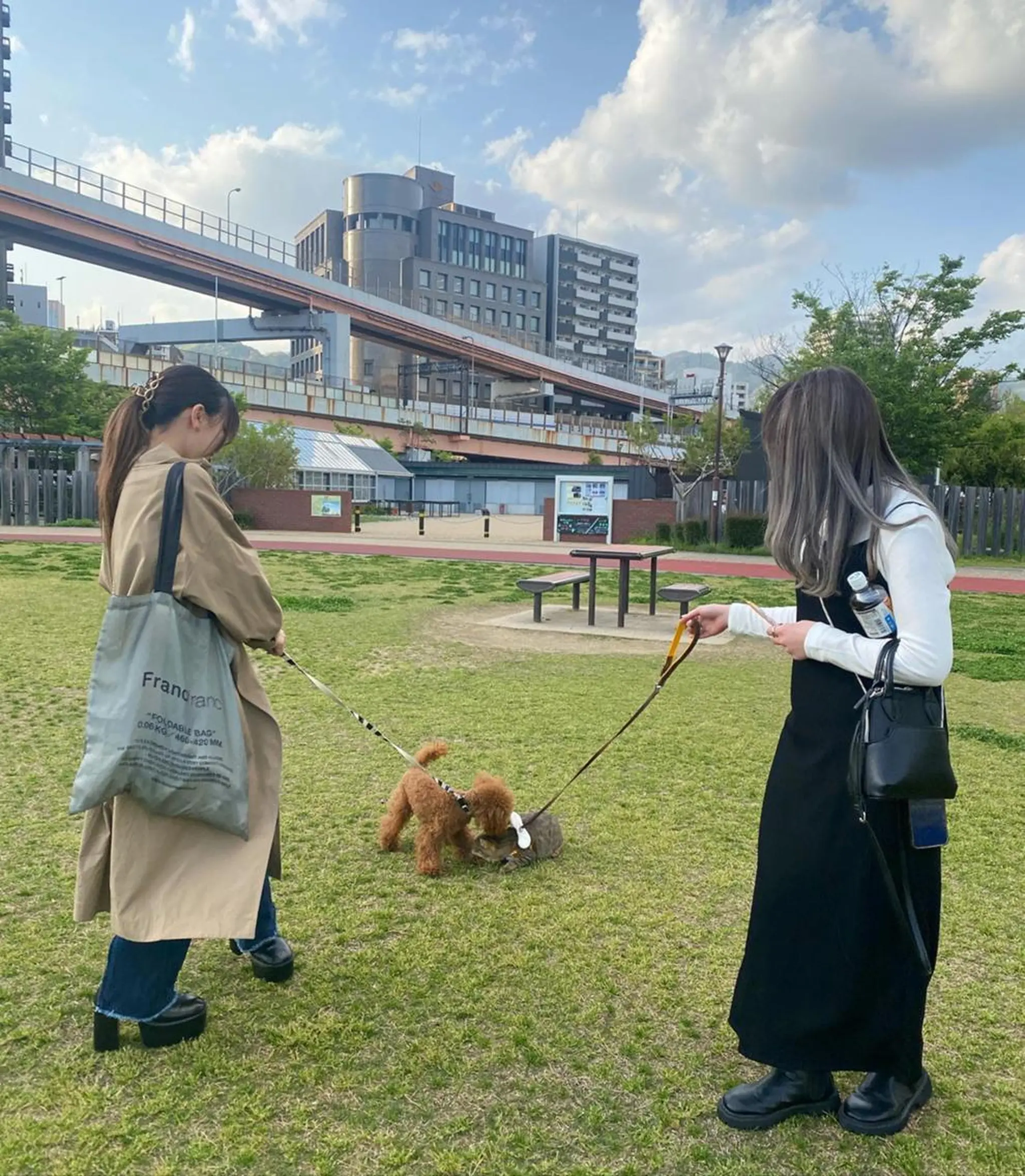 ミディアム カラー パーマ ヘアアレンジ メンズ 🩷Eny terrace🩷のヘアスタイル