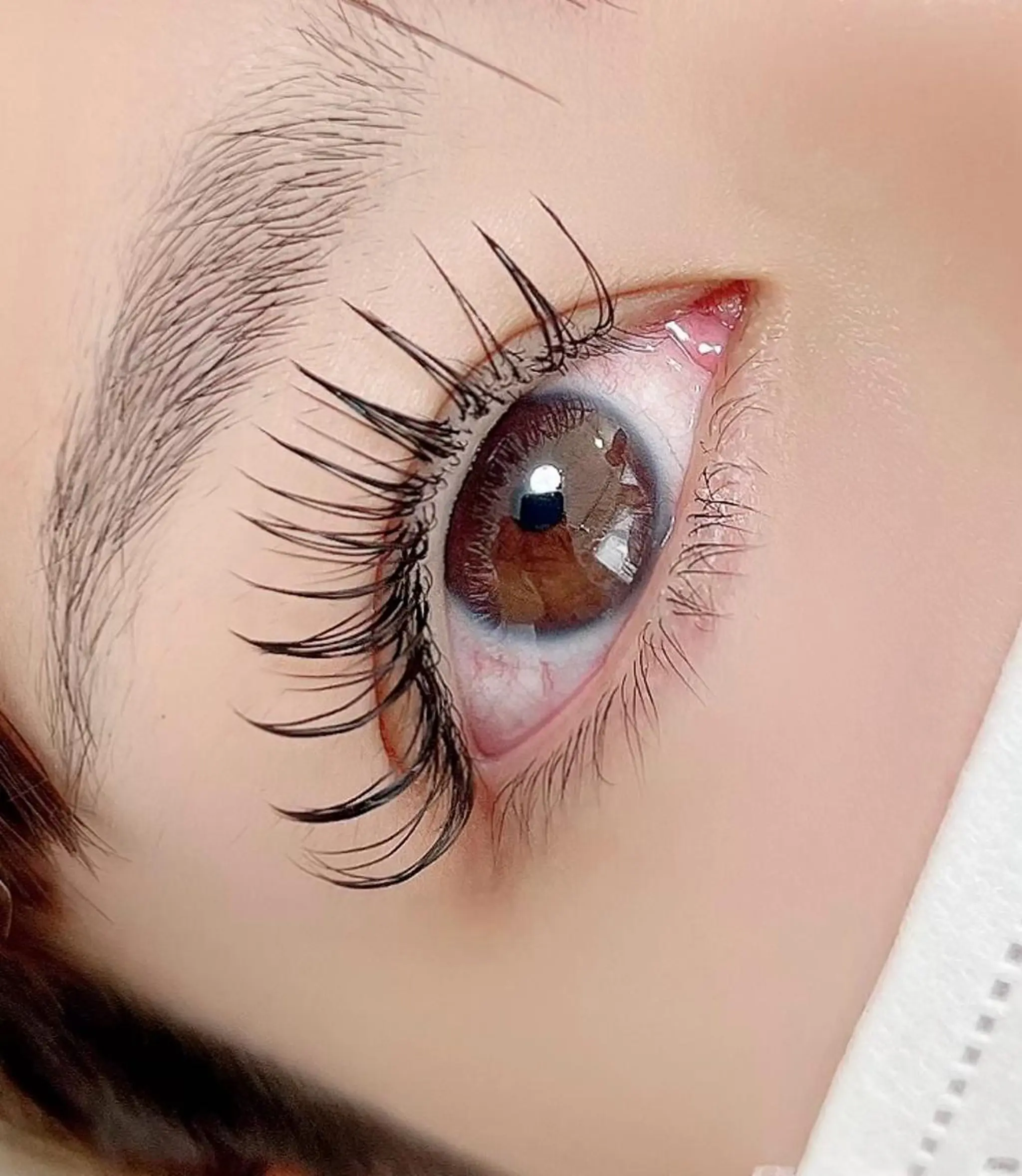 マツエク・マツパ マツエク 【那覇/束感まつ毛】 ｷｬﾒﾙのマツエク・マツパデザイン