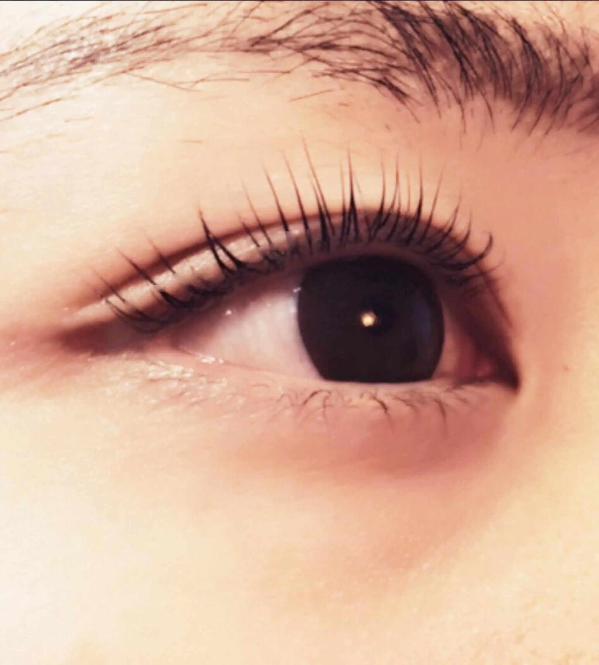 マツエク・マツパ アイラッシュサロン 🎀ミラのマツエク・マツパデザイン