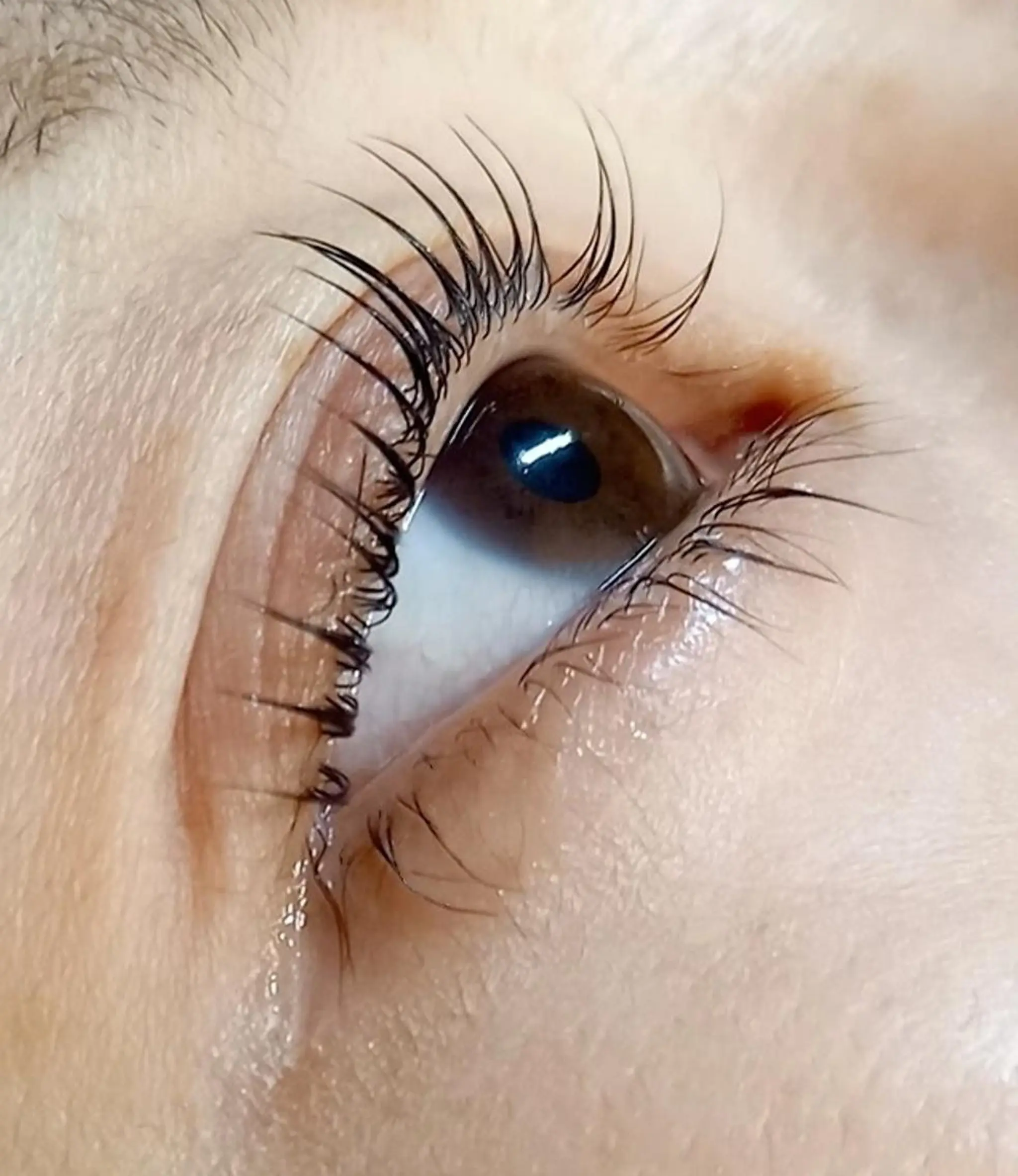 マツエク・マツパ マツパ Private eyelashsalon meer所属・meer  (メーア)のマツエク・マツパデザイン