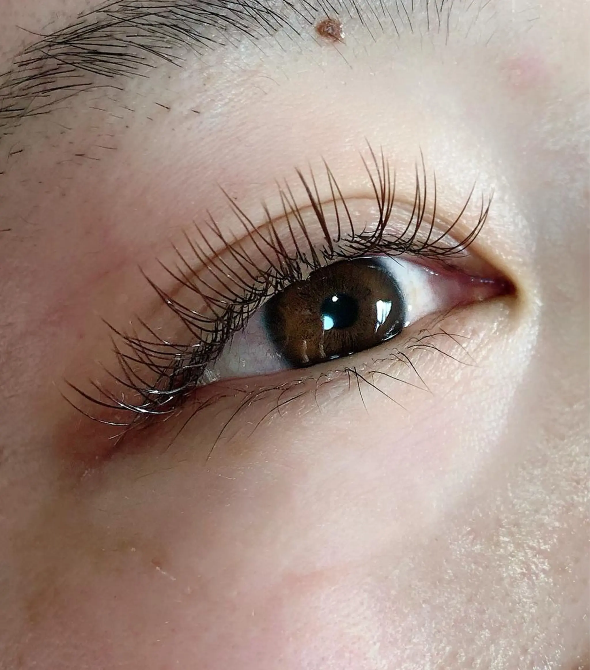 カラー マツエク・マツパ K&E lashe /大垣 まつ毛、眉毛のマツエク・マツパデザイン