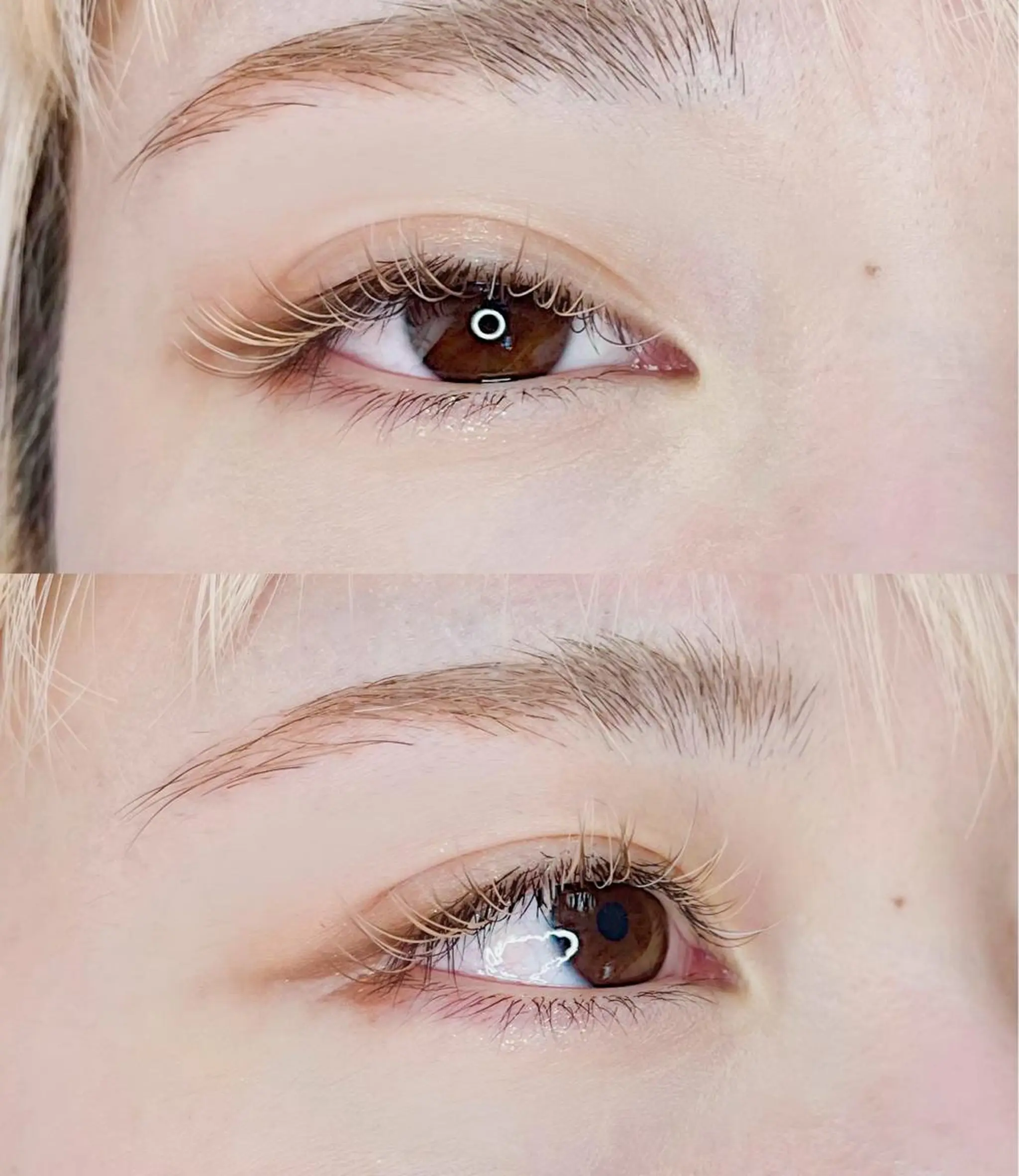 カラー マツエク・マツパ ブラウンカラー Cカール カラーマツエク マツエク パーフェクトウィンク ちぢいわみのりのマツエク・マツパデザイン