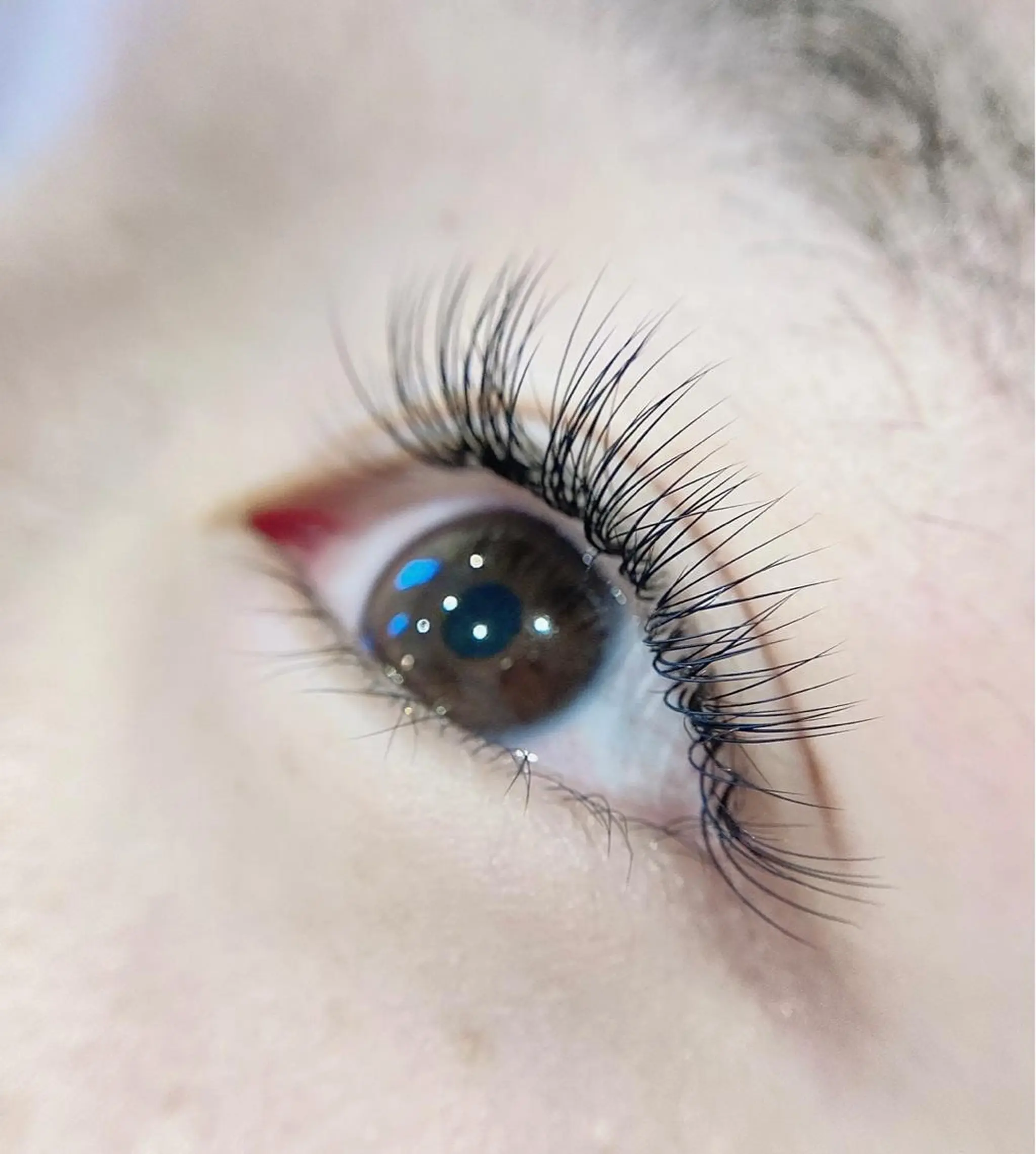 マツエク・マツパ 1席のみサロンvi ctoriaeyeの眉毛・アイブロウイメージ