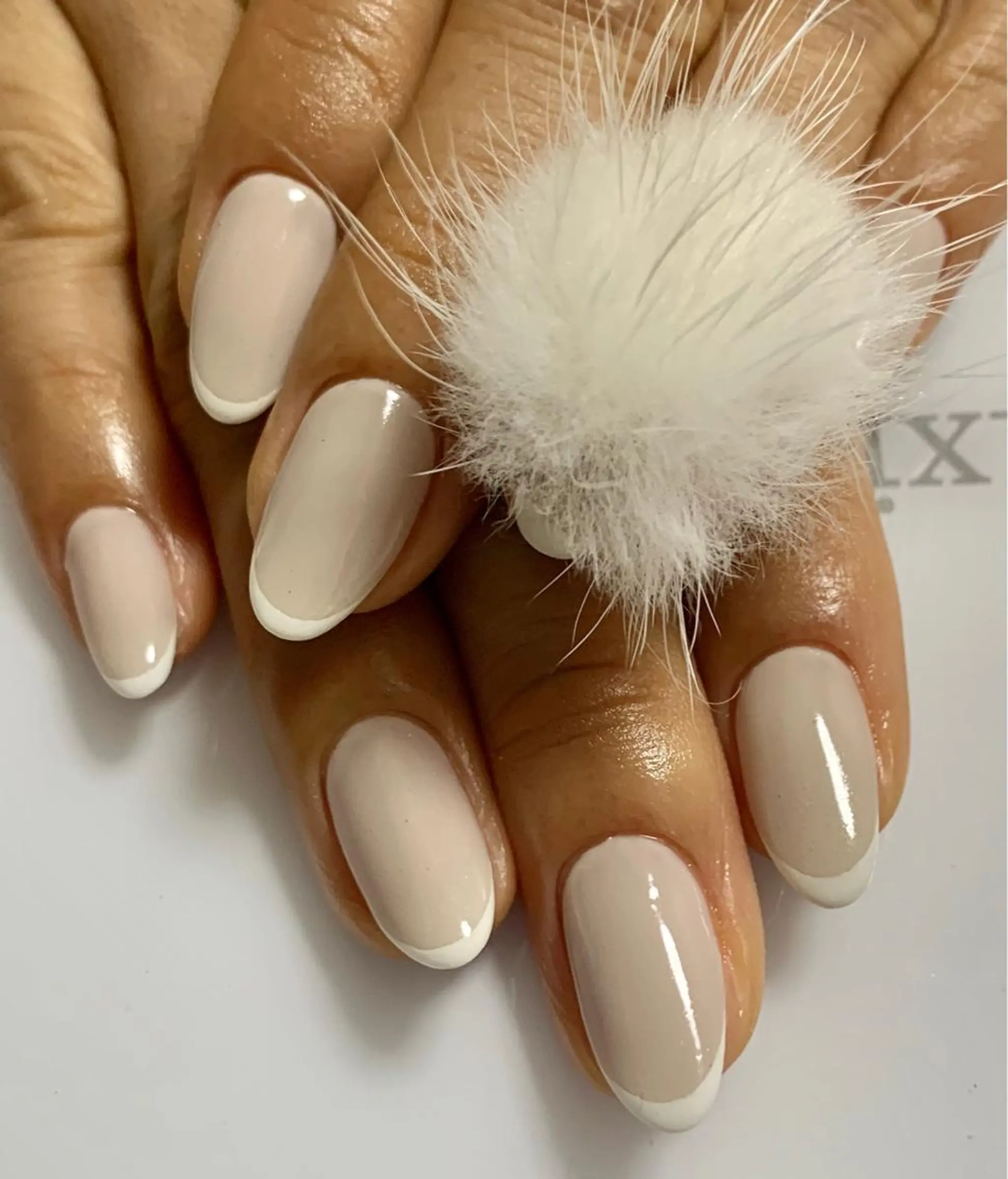 ネイル フレンチネイル マグネットネイル ワンカラーネイル Nail&Eyelash Amour(アムール)所属・山下 愛のネイルデザイン