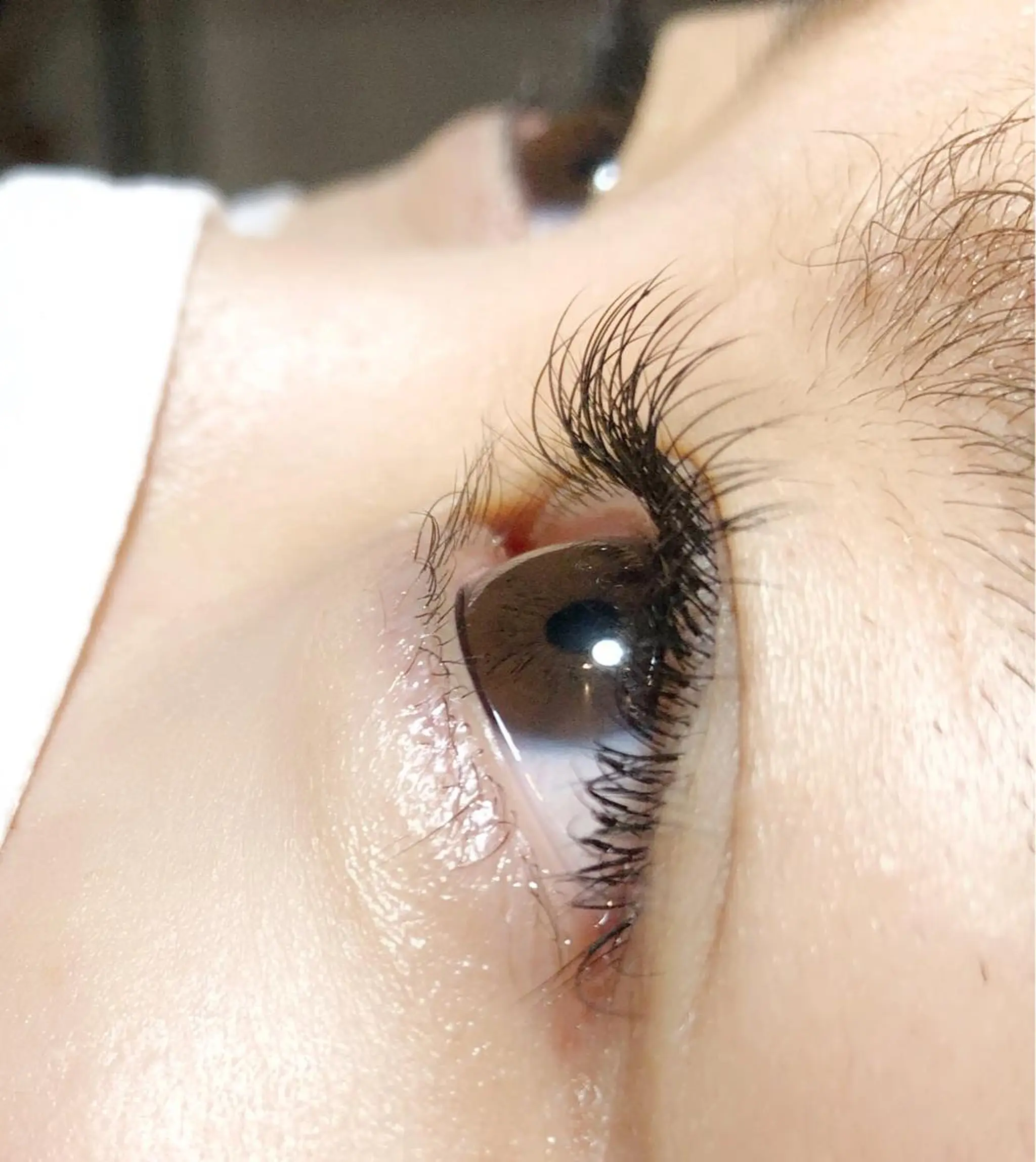 マツエク・マツパ Cカール ナチュラル force  hair所属・🫧富田 苑実🫧のヘアスタイル