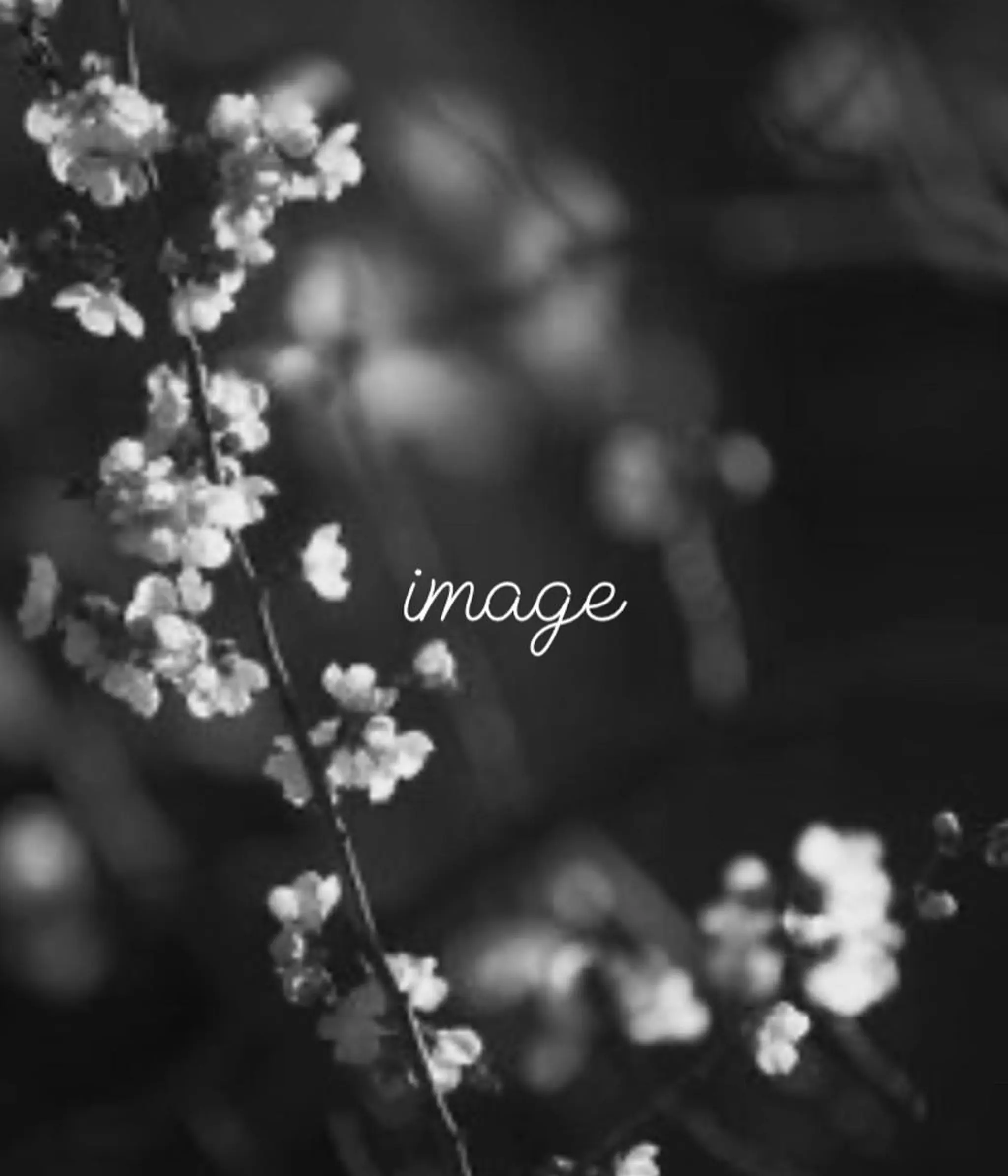 🌙透明感カラー／ 丁寧施術｜松本のヘアスタイル