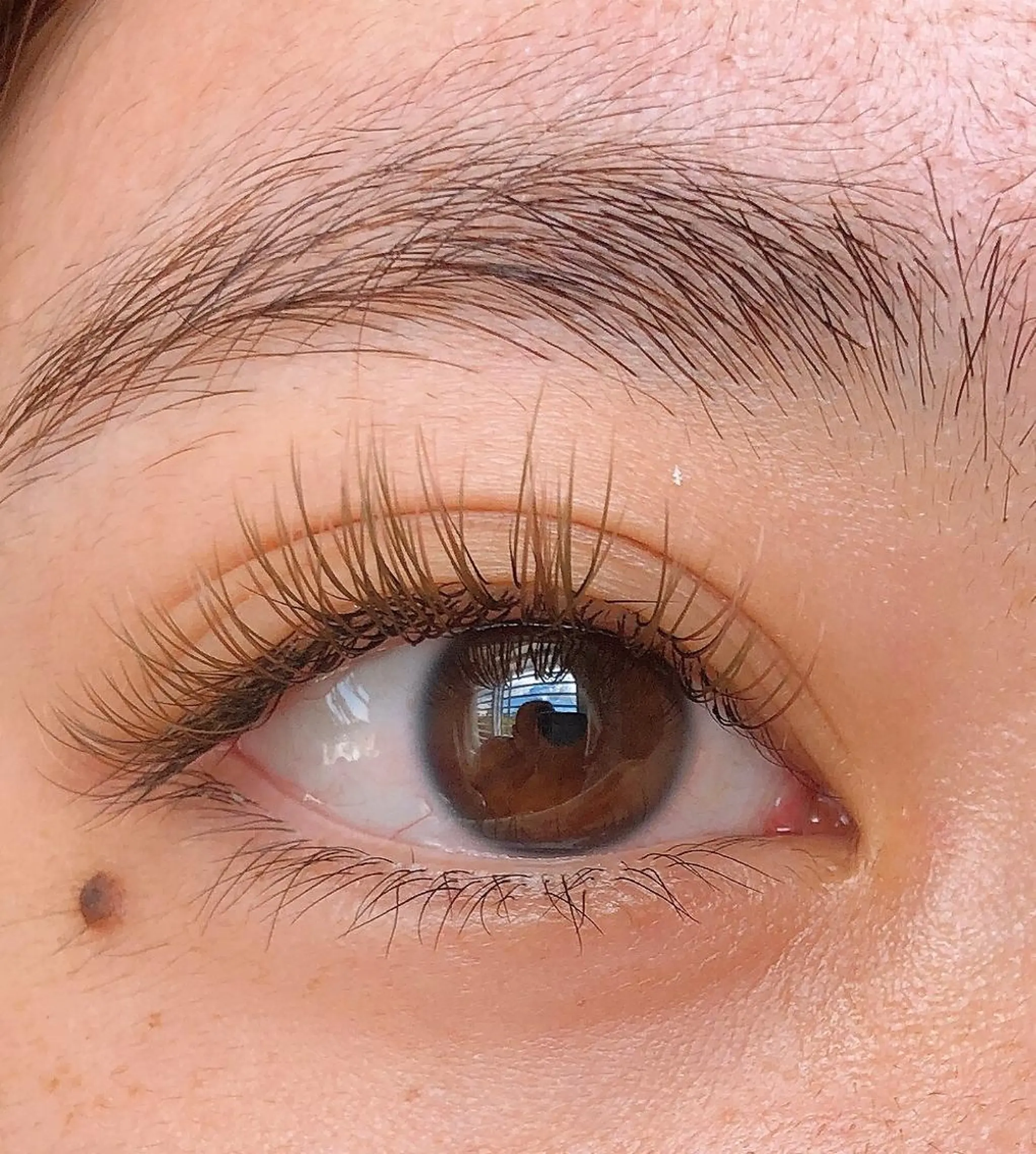 マツエク・マツパ カラーマツエク セーブル Hug me eyelashのマツエク・マツパデザイン