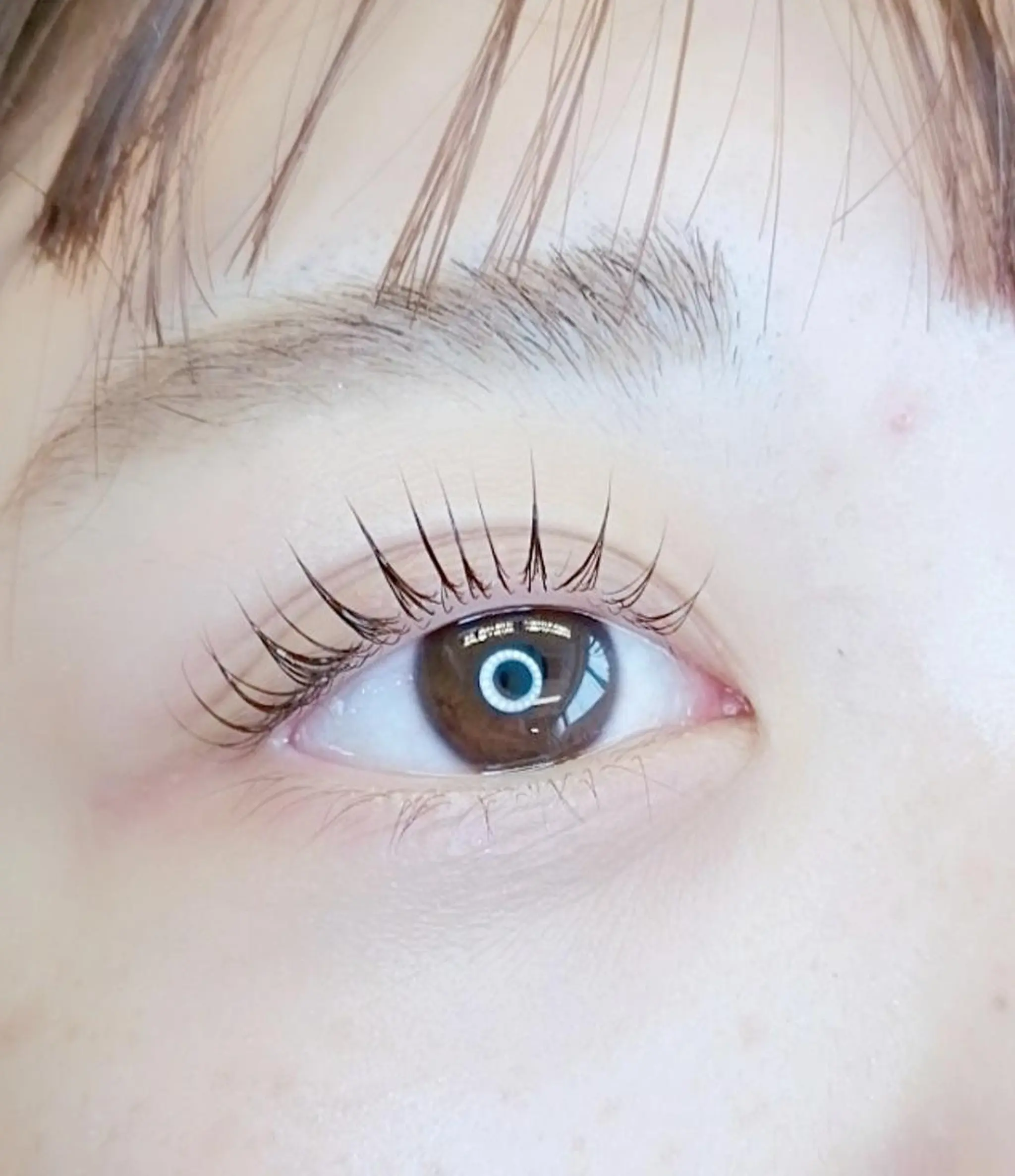 マツエク・マツパ アイラッシュ サロン ありるのマツエク・マツパデザイン