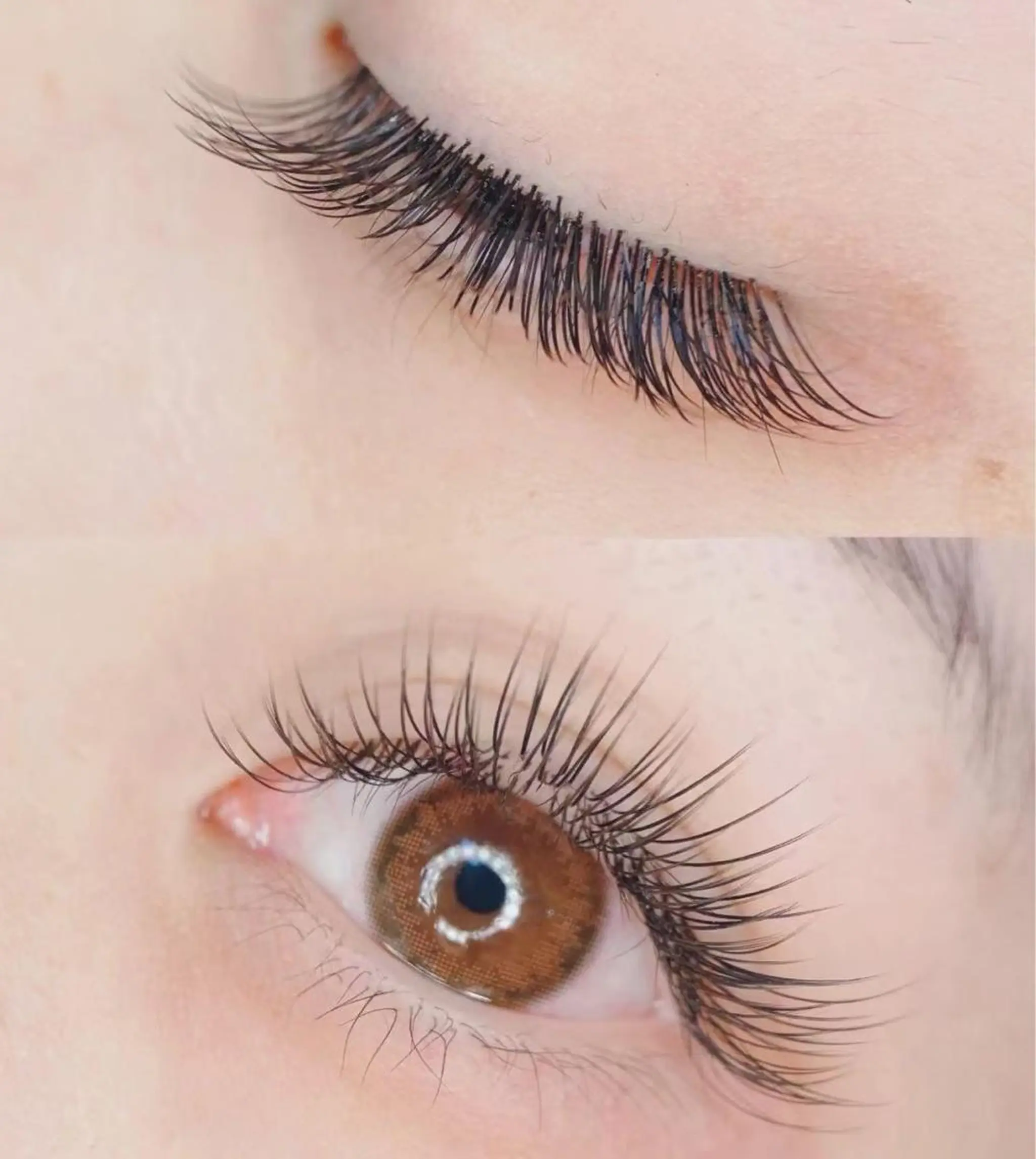 マツエク・マツパ フラットラッシュ マツエク TACHIBANA EYE LASHのマツエク・マツパデザイン