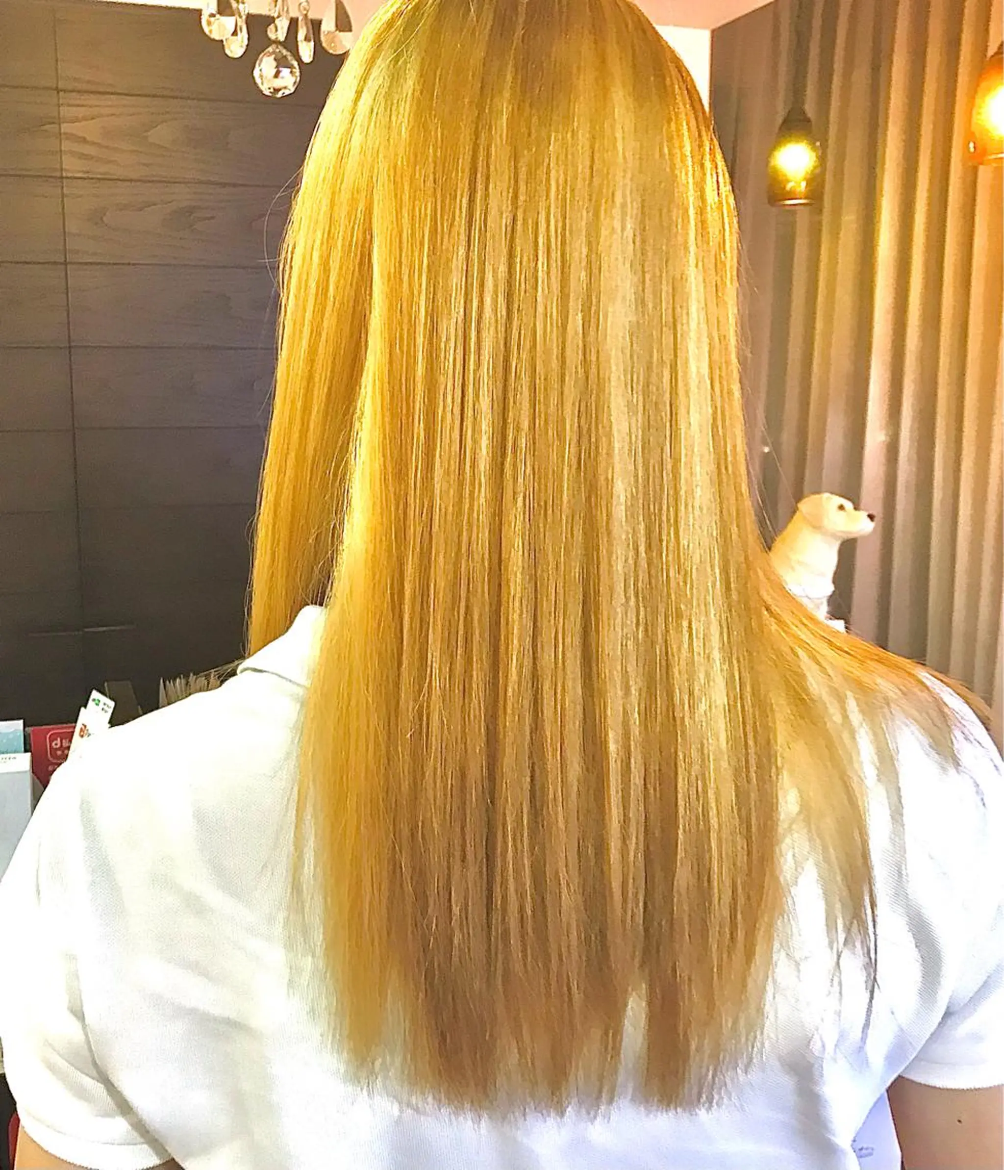 ロング カラー ブリーチ 抜きっぱなしブロンド 💎透明感カラー特化 💎TAISEIのヘアスタイル