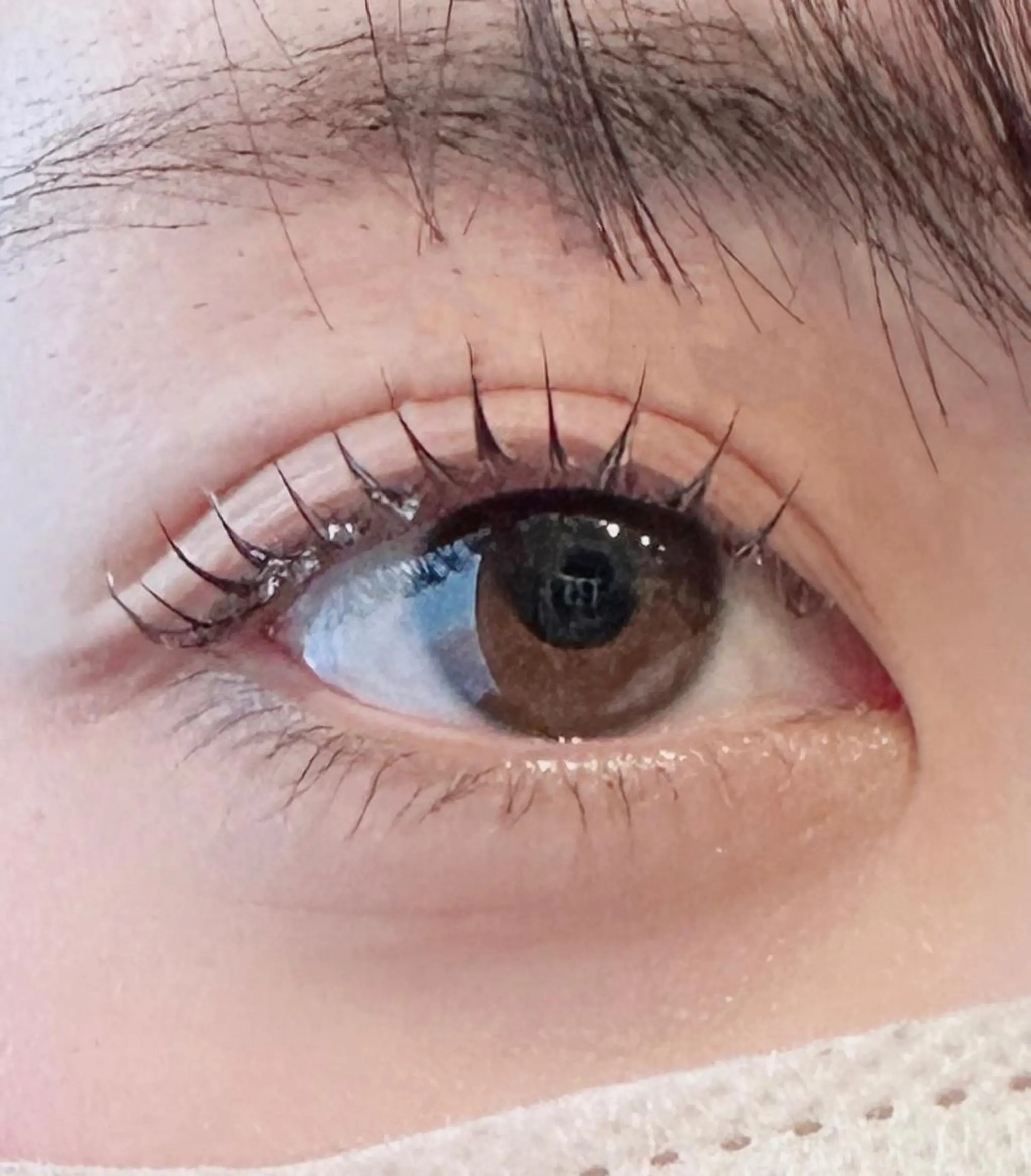 マツエク・マツパ dearbeauty plusのマツエク・マツパデザイン