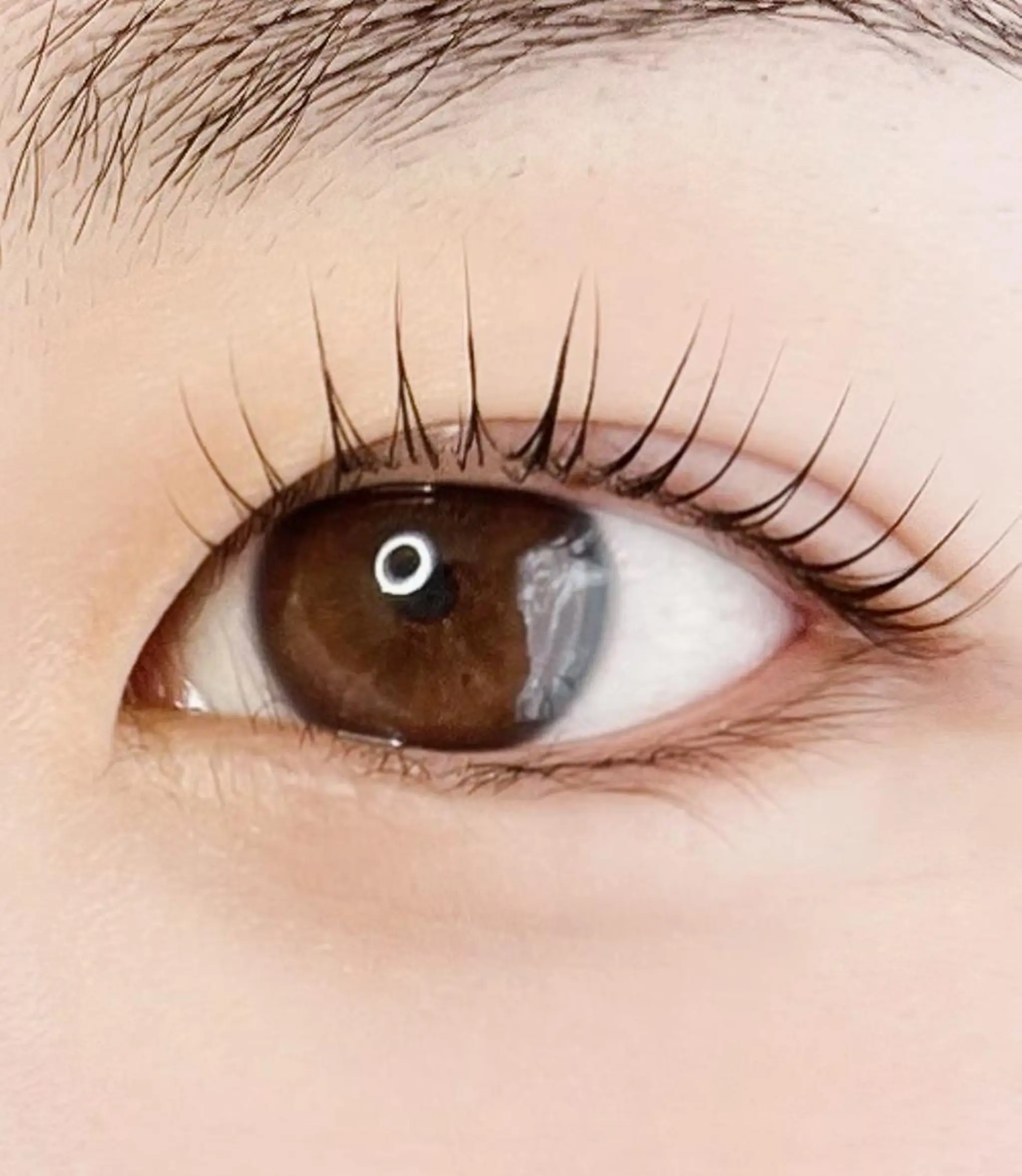 マツエク・マツパ ケラチンラッシュリフト パリジェンヌラッシュリフト マツパ eyelash plan api所属・【plan】 kaoriのマツエク・マツパデザイン