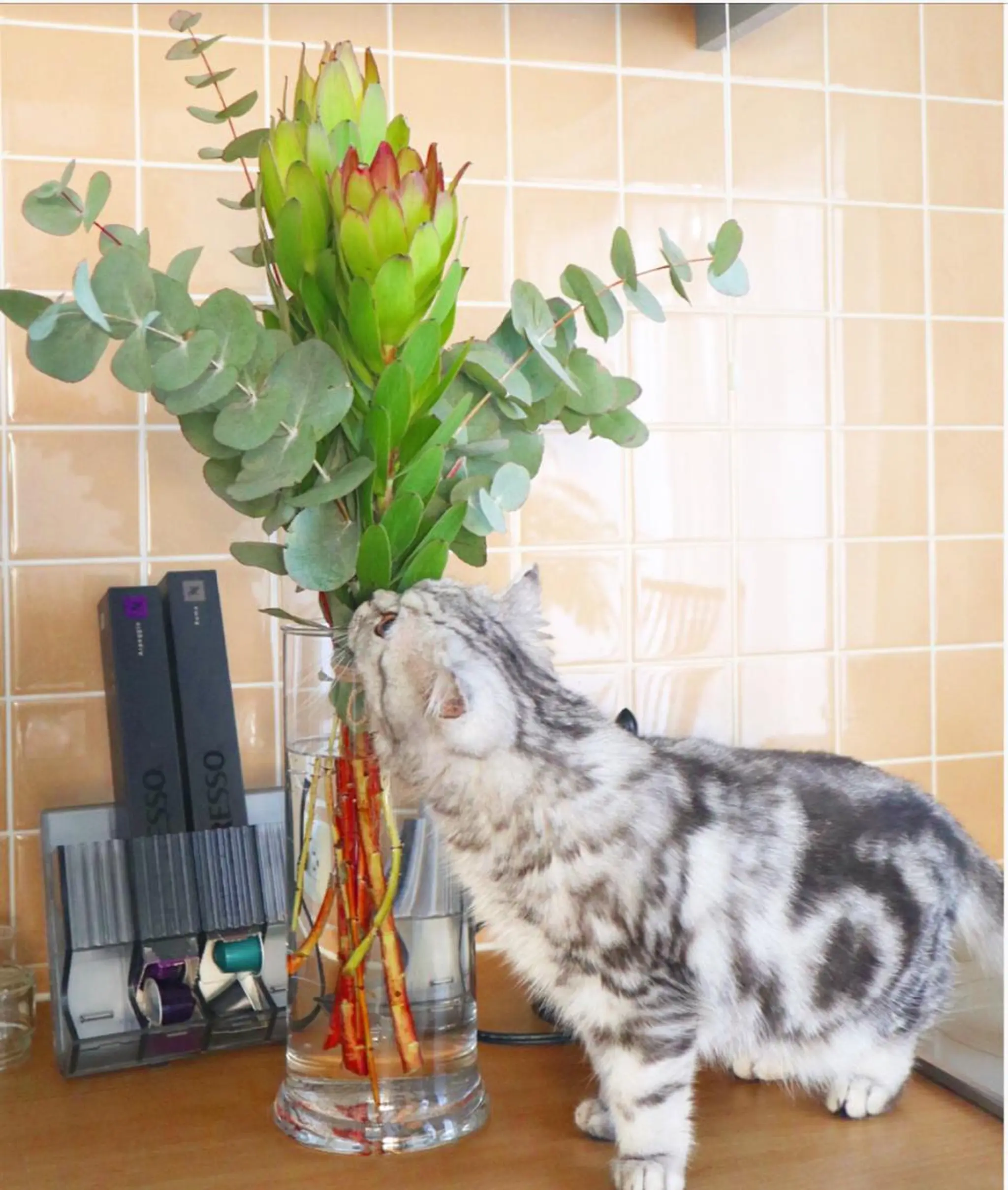 RENsalon大阪 体質改善リトリートのエステ・リラクイメージ