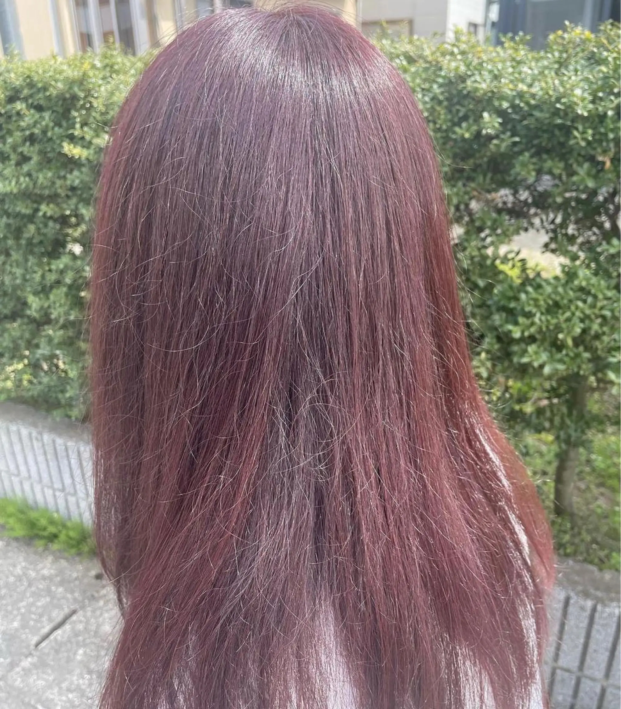 セミロング カラー ブラウンカラー ピンクカラー ピンクブラウン ヘアカラー 佐藤 爽香のヘアスタイル