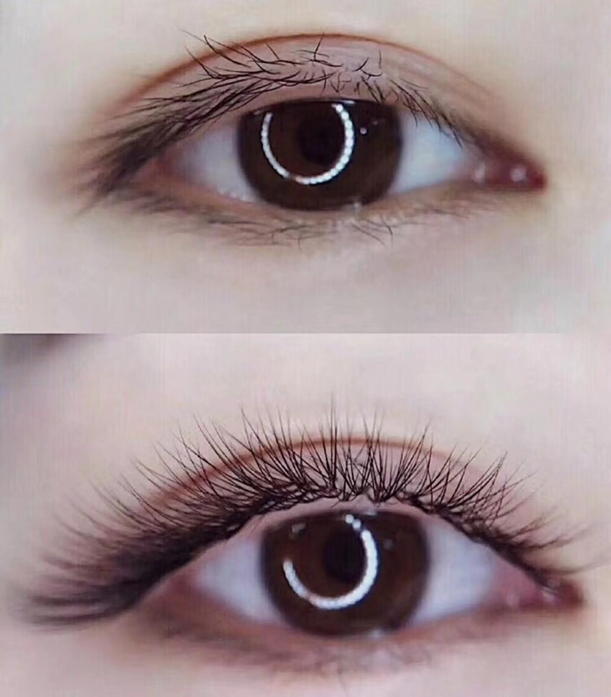 マツエク・マツパ 付け放題 フラットラッシュ マツエク 羽賀 美和のマツエク・マツパデザイン