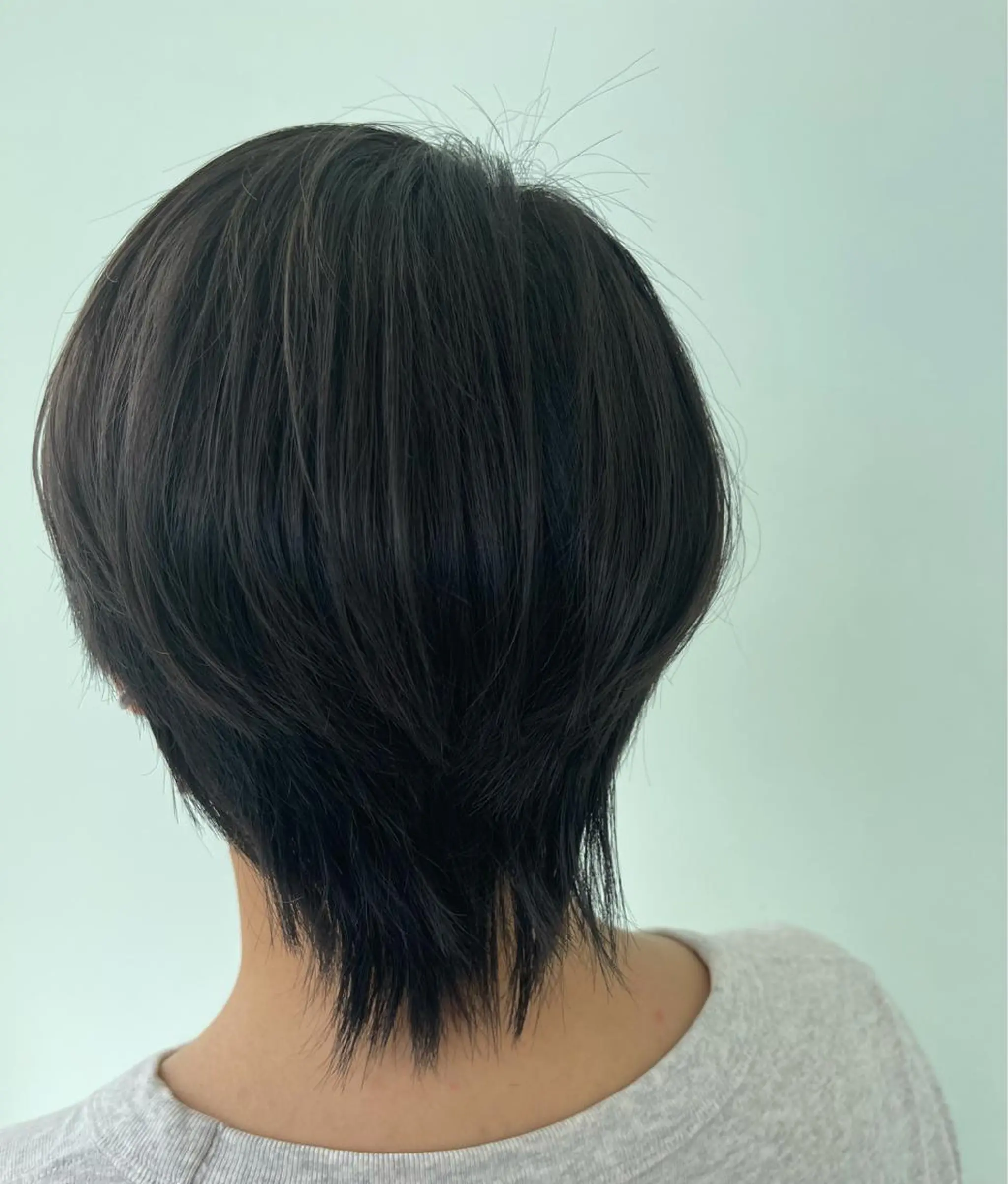 ショート カラー 🍏👑針生 愛佳👑🍏のヘアスタイル