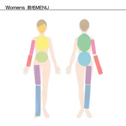 【女性】まるっと全身脱毛（顔、VIOなし）