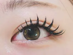 🌴【4月日限定価格】Wフラットラッシュ🌴240本(120束)オフ無料リピーター価格¥7500話題の束感ワンホン