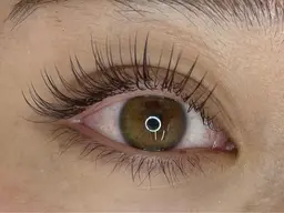 フラットラッシュつけ放題