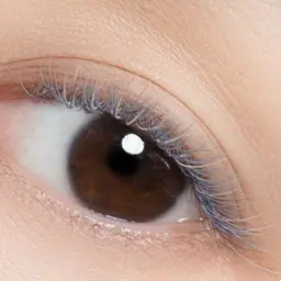 ✨新規様✨【冬カラーフラットラッシュ150本※⚠Ｃカールのみ※】✨※写真はイメージです。お好みのカラーをお選び下さい。