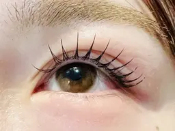 マツエク フラットラッシュ100本