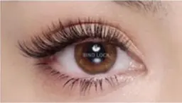 バインドロック90束【初回オフ無料】付け足し可🌷　※他店でも可