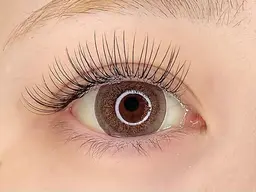 LED🍀セーブルフラット(オフ有100オフ無120本)🍀