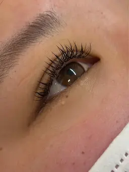 ✨バインドラッシュ80束✨