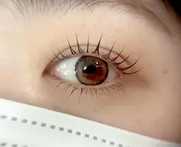 目力倍増🫐【上下まつげパーマ】※上下パリジェンヌラッシュリフトも◎