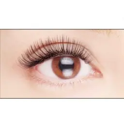 【🌼軽さモチ◎🌼】フラットラッシュつけ放題1h