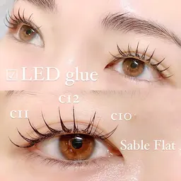 しみにくい◎高持続⭐️最新LEDグルー装着⭐️セーブルフラットラッシュ60分¥6000(2回目以降+1500円)