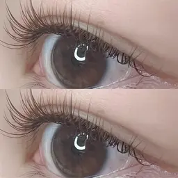 🉐当日限定☃️シングルラッシュ☃️リペア80本📕オプションで毛質変更可