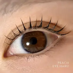 ラッシュリフトor美まつげパーマ 🤍 束巻き仕上げ可◎