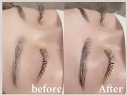 【女性のみ】ハリウッドブロウリフト練習モデル【眉毛WAX＋毛流れ整えパーマ＋間引き付】