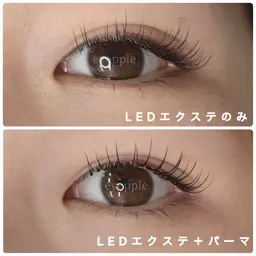 【当日限定！】フラット100本＋LEDに変更