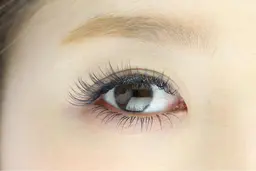 【フラットラッシュ 120本】他店オフ、美容液コーティング付き♡