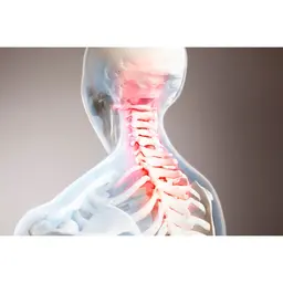 【火曜日限定】【頭痛・眼精疲労+首肩こりにお悩みの方】上半身集中マッサージ60分コース(首・肩・背中)