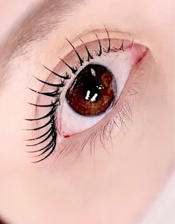 🫧韓国まつ毛パーマ🫧パリジェンヌ＋漆黒まつ毛染め（マスカラパーマ）