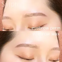 《🦖 ハリウッドブロウリフト🦖 & 🦋 シートワックス 🦋 & 眉カット 》メンズも🙆♀️