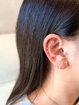 耳ツボジュエリー　両耳6粒まで