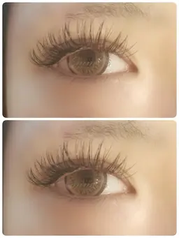 バインドロック80束/シングル180本以上の仕上がり★コーティング込み！