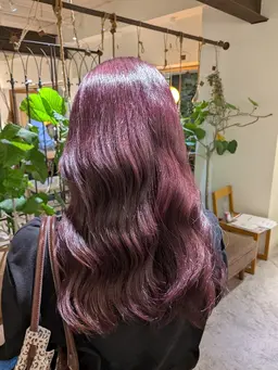 💛フルカラートリートメントつき💛