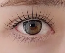 【パリジェンヌラッシュリフト】韓国アイドル風束感パリジェンヌラッシュリフト✨