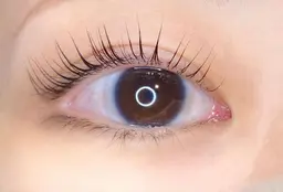 【7週間以内の来店】パリジェンヌラッシュリフトorデザインパーマ