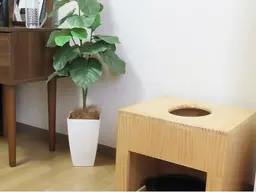 【ペア蒸し】よもぎ蒸し　40分