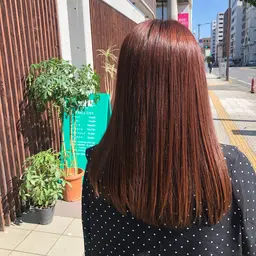 全体カラー+コアミートリートメント